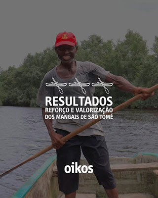 imagem publicação