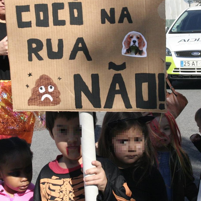 imagem publicação
