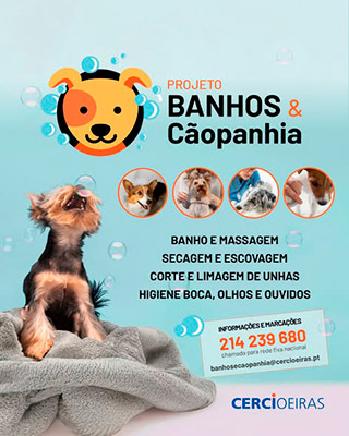 imagem publicação