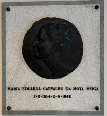 imagem publicação