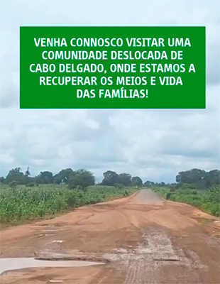 imagem publicação