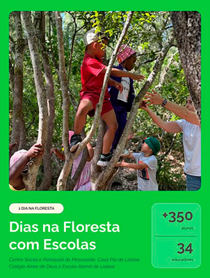 imagem publicação