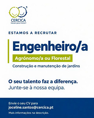 imagem publicação