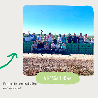 imagem publicação