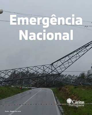 imagem publicação