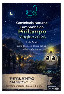 imagem publicação