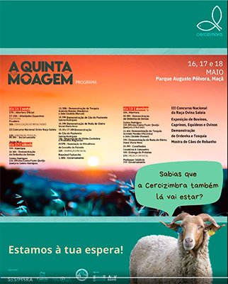 imagem publicação