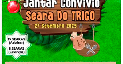 imagem publicação