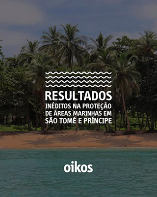 imagem publicação