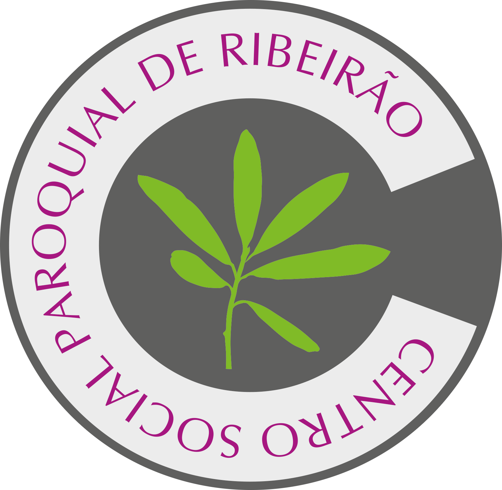 CENTRO SOCIAL PAROQUIAL DE RIBEIRÃO